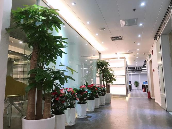 深圳市全品国际旅行社
